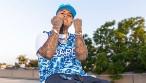 Image of Bravo The Bagchaser